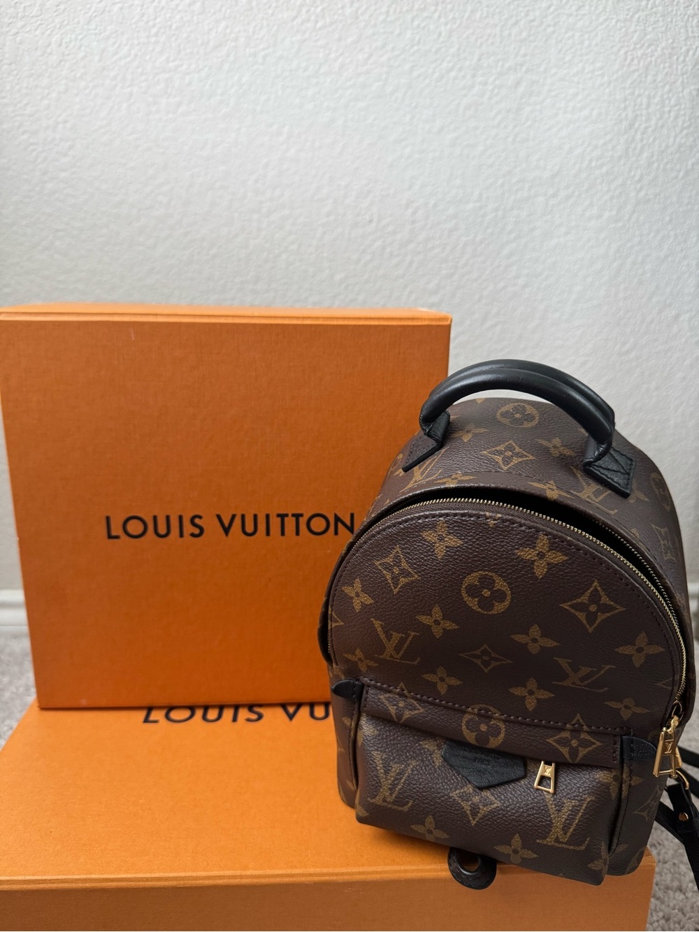 Louis Vuitton Palm Springs mini Backpack - Picture 8 of 12